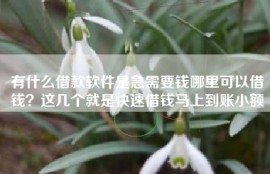 有什么借款软件是急需要钱哪里可以借钱？这几个就是快速借钱马上到账小额