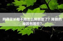网商贷长期不用怎么降额度了？降额的原因有哪些？