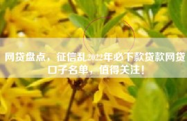 网贷盘点，征信乱2022年必下款贷款网贷口子名单，值得关注！