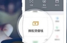 为什么我有微粒贷图标，却没有额度？