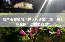 信用卡账单的“已入账金额”和“未入账金额”是什么意思？