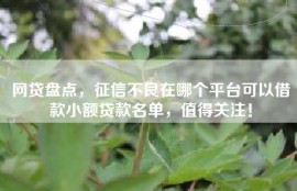 网贷盘点，征信不良在哪个平台可以借款小额贷款名单，值得关注！