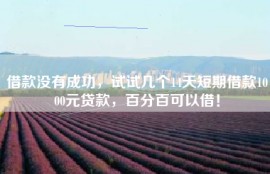 借款没有成功，试试几个14天短期借款1000元贷款，百分百可以借！