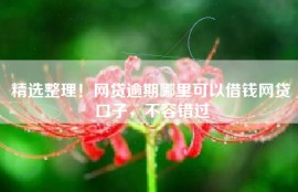 精选整理！网贷逾期哪里可以借钱网贷口子，不容错过