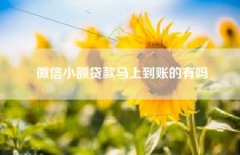 微信小额贷款马上到账的有吗