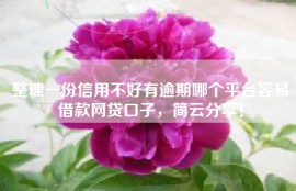 整理一份信用不好有逾期哪个平台容易借款网贷口子，简云分享！