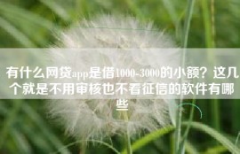 有什么网贷app是借1000-3000的小额？这几个就是不用审核也不看征信的软件有哪些