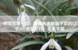 网贷名单一览，网黑有逾期能下款的口子2022借款软件，拿走不谢