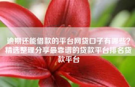 逾期还能借款的平台网贷口子有哪些？精选整理分享最靠谱的贷款平台排名贷款平台