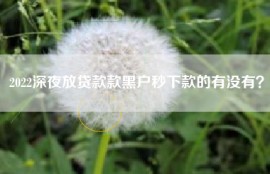 2022深夜放贷款款黑户秒下款的有没有？