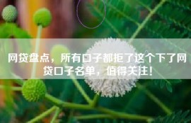 网贷盘点，所有口子都拒了这个下了网贷口子名单，值得关注！