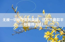 无视一切包下款的贷款，这几个借款平台值得一试！