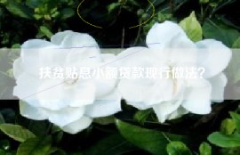 扶贫贴息小额贷款现行做法？