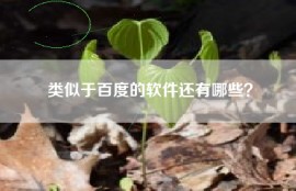 类似于百度的软件还有哪些？