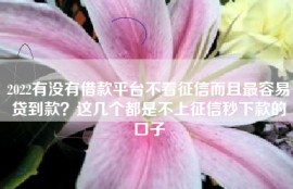 2022有没有借款平台不看征信而且最容易贷到款？这几个都是不上征信秒下款的口子