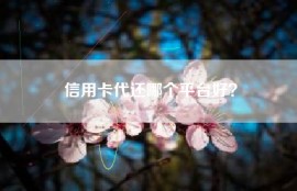 信用卡代还哪个平台好？