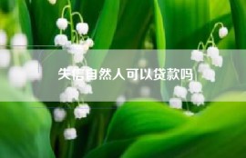 失信自然人可以贷款吗