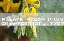 网上借钱被拒，试试这些2022年14天短期借款1000元的借款软件贷款app，不容错过