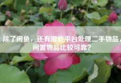 除了闲鱼，还有哪些平台处理二手物品，闲置物品比较可靠？