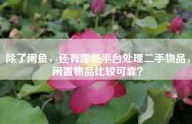 除了闲鱼，还有哪些平台处理二手物品，闲置物品比较可靠？