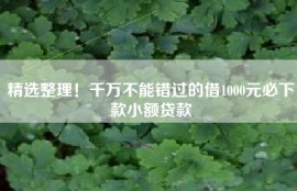 精选整理！千万不能错过的借1000元必下款小额贷款