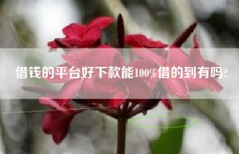 借钱的平台好下款能100%借的到有吗?