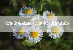 公积金申请通过后要多久才能放款？