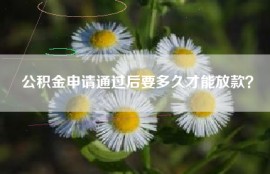 公积金申请通过后要多久才能放款？