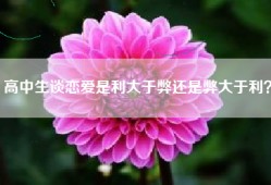 高中生谈恋爱是利大于弊还是弊大于利？