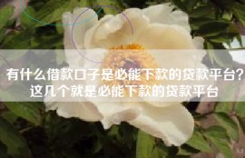 有什么借款口子是必能下款的贷款平台？这几个就是必能下款的贷款平台