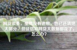 网贷很多，虽然没有逾期，也已还清绝大部分，但征信和网贷大数据都花了，怎么办？
