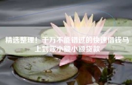 精选整理！千万不能错过的快速借钱马上到账小额小额贷款
