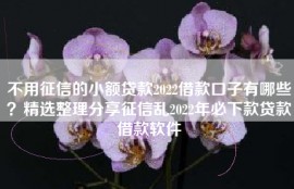 不用征信的小额贷款2022借款口子有哪些？精选整理分享征信乱2022年必下款贷款借款软件