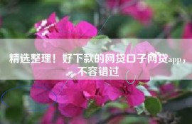 精选整理！好下款的网贷口子网贷app，不容错过