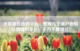 大家都在借的平台，整理几个黑户也可以借钱的平台，千万不要错过！