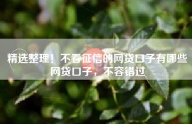 精选整理！不看征信的网贷口子有哪些网贷口子，不容错过
