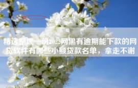 精选整理一份2022网黑有逾期能下款的网贷软件有哪些小额贷款名单，拿走不谢