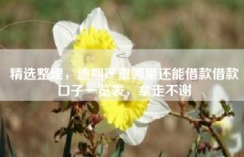 精选整理，逾期严重哪里还能借款借款口子一览表，拿走不谢