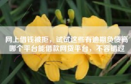 网上借钱被拒，试试这些有逾期负债高哪个平台能借款网贷平台，不容错过