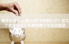 有什么贷款app是2022好下款的口子？这几个就是网贷太多被拒哪个平台还能贷