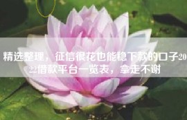 精选整理，征信很花也能稳下款的口子2022借款平台一览表，拿走不谢