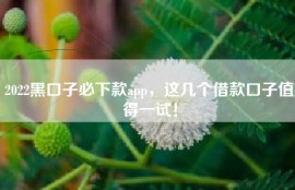 2022黑口子必下款app，这几个借款口子值得一试！