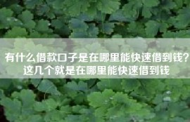 有什么借款口子是在哪里能快速借到钱？这几个就是在哪里能快速借到钱