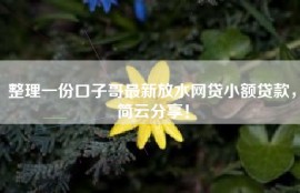 整理一份口子哥最新放水网贷小额贷款，简云分享！