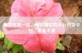 网贷名单一览，可以借款的平台网贷平台，拿走不谢