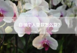 白领个人贷款怎么贷？