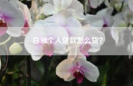白领个人贷款怎么贷？