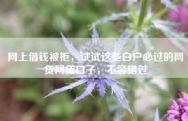 网上借钱被拒，试试这些白户必过的网贷网贷口子，不容错过