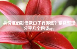 身份证借款借款口子有哪些？精选整理分享几个网贷app