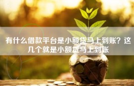有什么借款平台是小额贷马上到账？这几个就是小额贷马上到账
